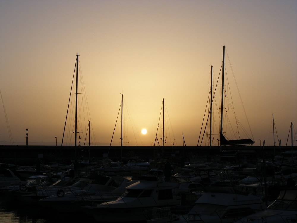 Der Hafen in Costa Adeje