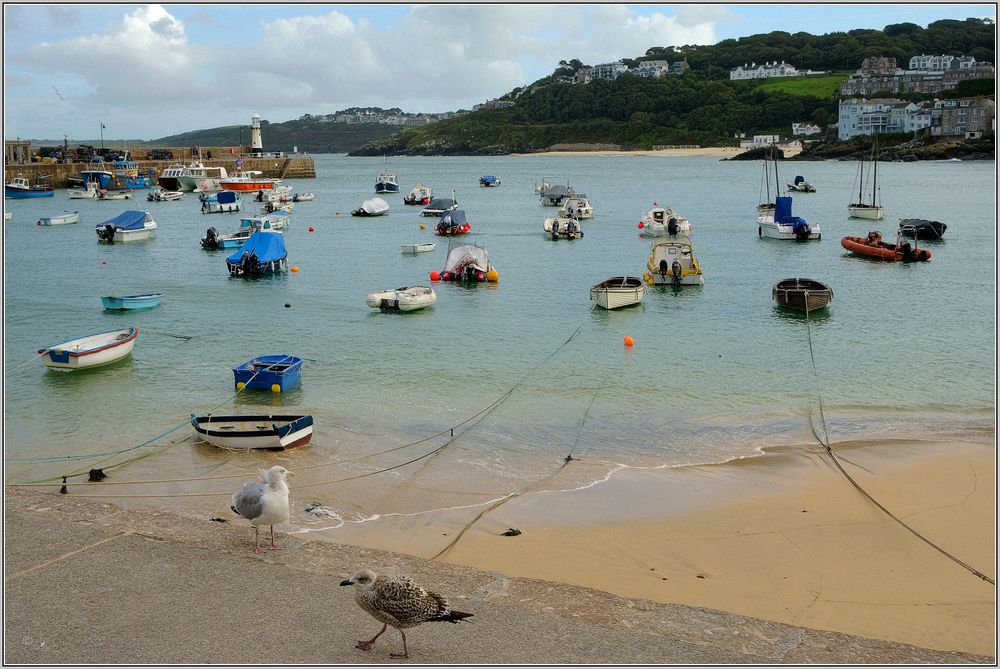 Der Hafen in St Ives