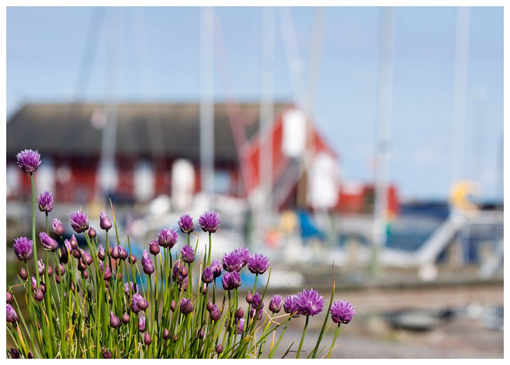 der Hafen von Ballen