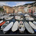 Der Hafen von Camogli