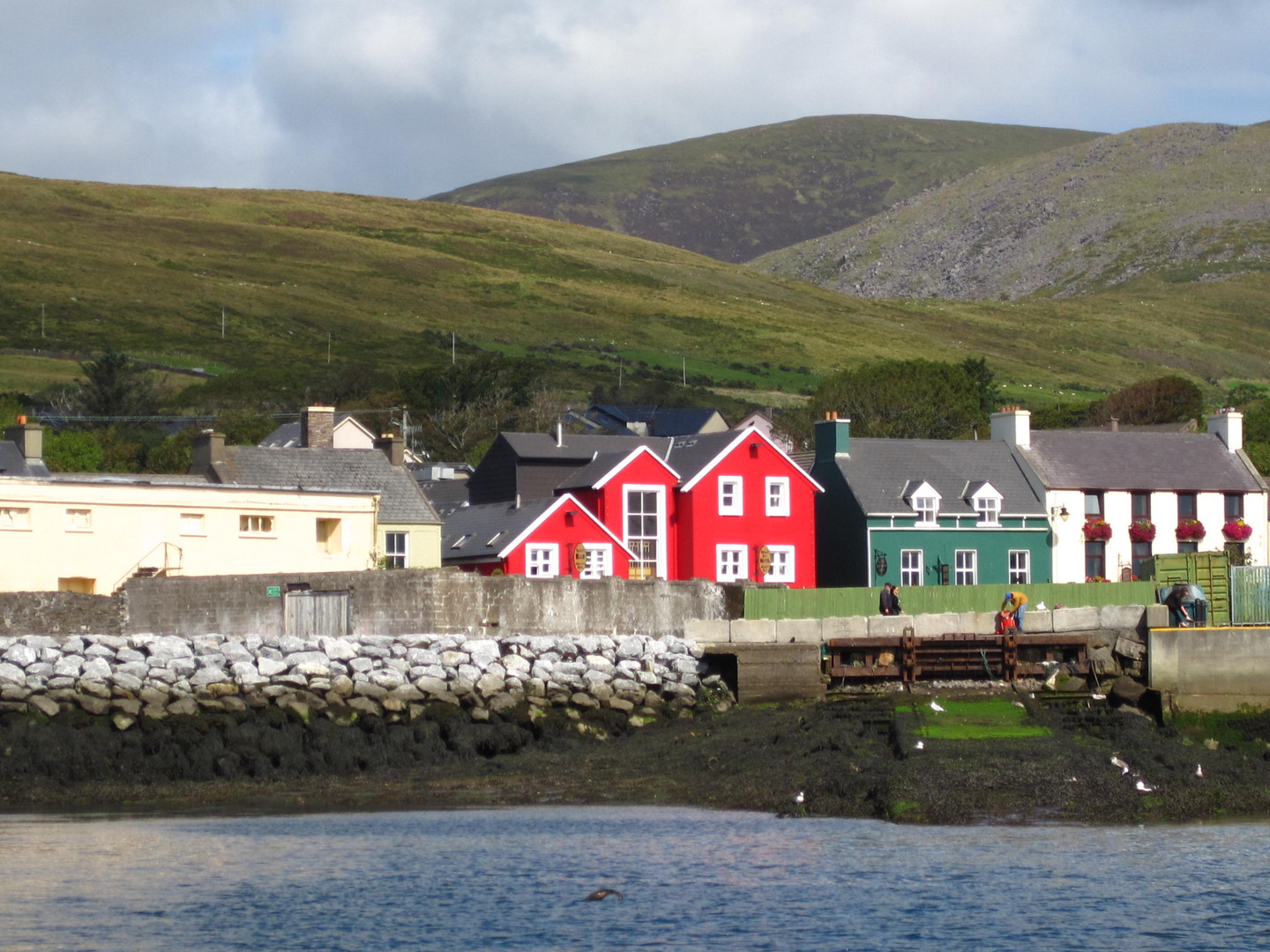 der Hafen von Dingle .... ohne Delphin