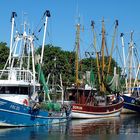 Der Hafen von Friedrichskoog 