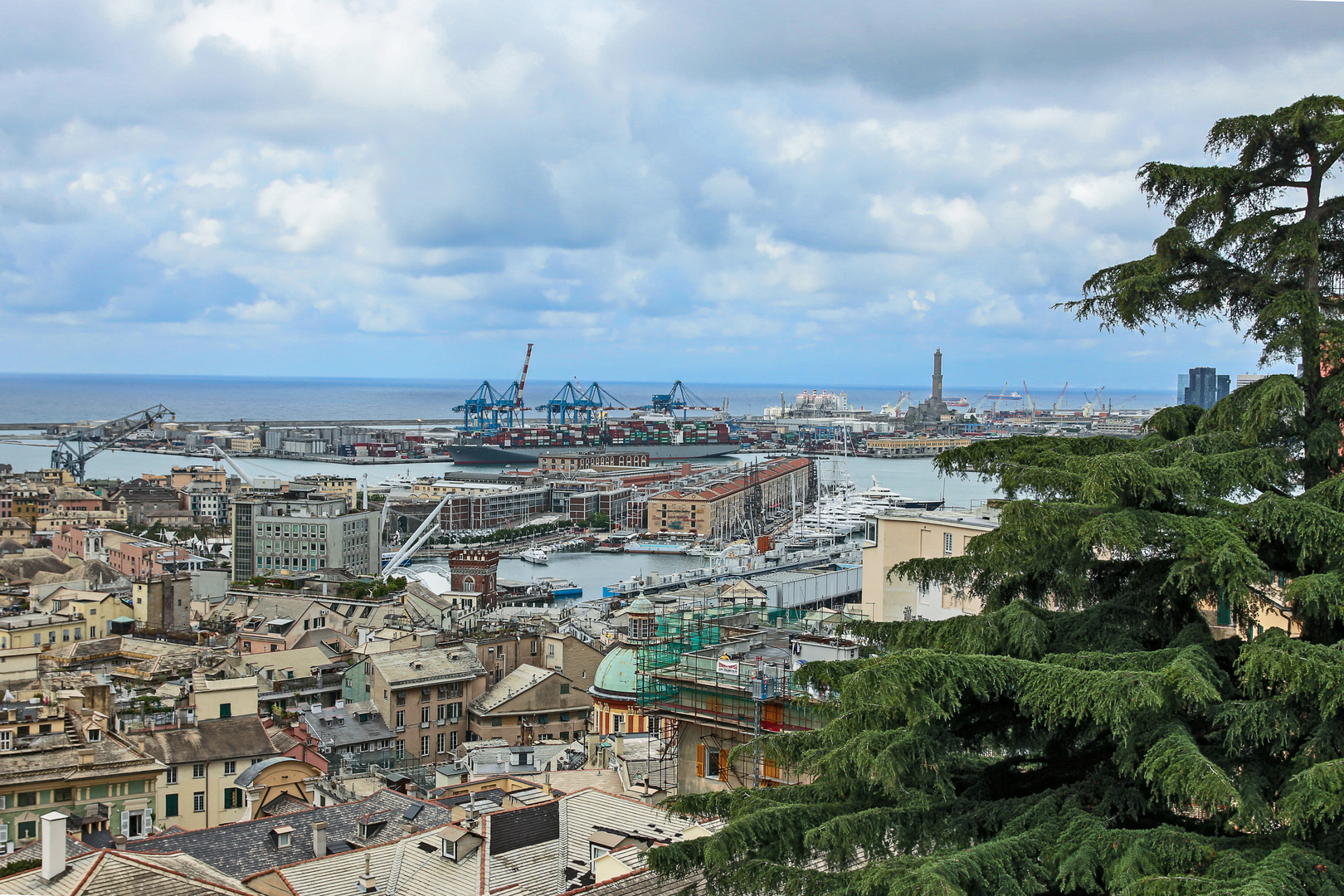 Der Hafen von Genua