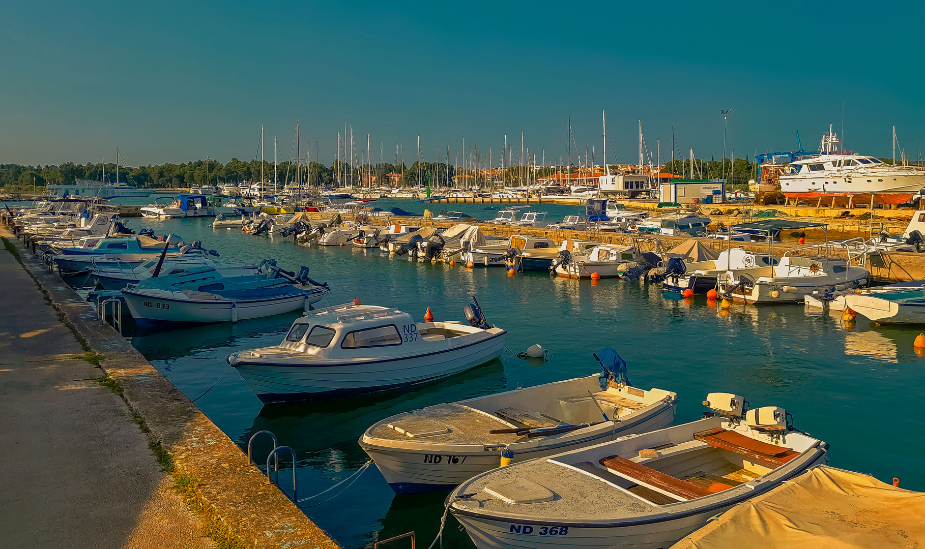 Der Hafen von Novigrad 