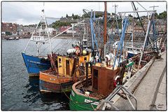 Der Hafen von Oban (Schottland)