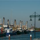 Der Hafen von Oudeschild ....