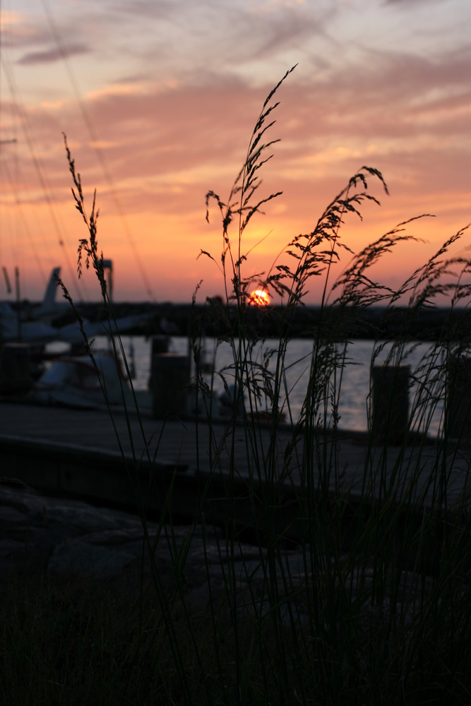 Der Hafen von Poel