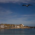 Der Hafen von St. Ives