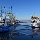 Der Hafen von Strucklahnungshörn auf der Halbinsel Nordstrand