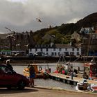 Der Hafen von Tarbert // Schottland 2009