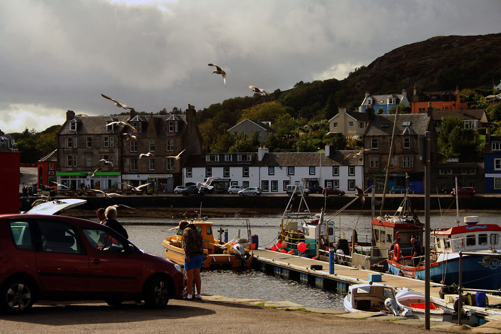 Der Hafen von Tarbert // Schottland 2009