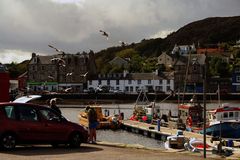 Der Hafen von Tarbert // Schottland 2009