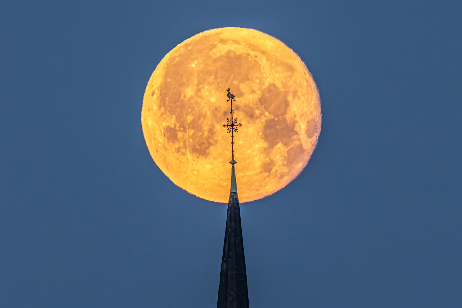 Der Hahn im Mond