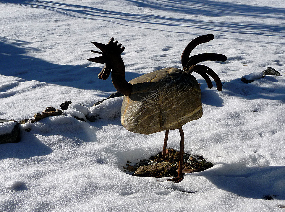 Der Hahn in meinem Garten.........