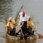 Der Hahn und seine Hennen