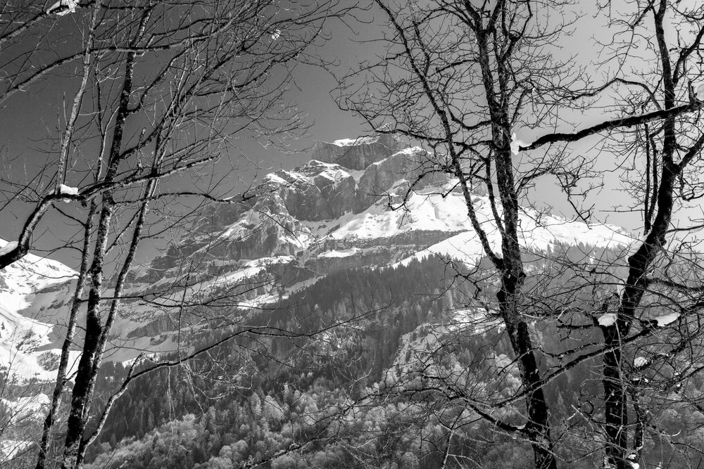 Der "Hahnen" 2006 m / Engelberg /OW