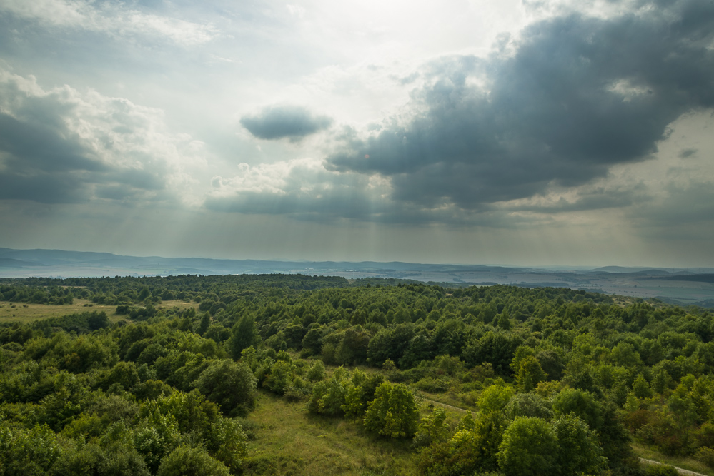 Der Hainich - Der Wald kommt zurück.