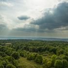 Der Hainich - Der Wald kommt zurück.