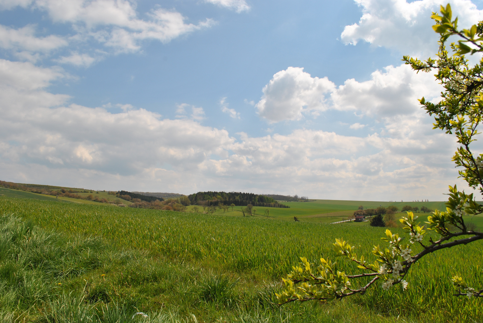 Der Hainich vor der Haustür