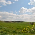 Der Hainich vor der Haustür