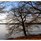 Der Halterner Stausee