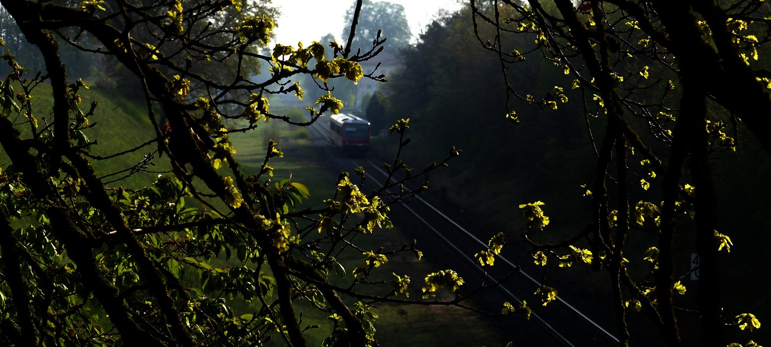 Der haltlose Frühling