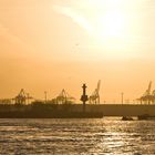 der Hamburger Hafen in der Abendsonne