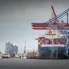 Der Hamburger Hafen mit Elbphilharmonie 