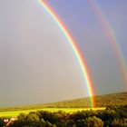 Der Hammer Regenbogen Mallorca