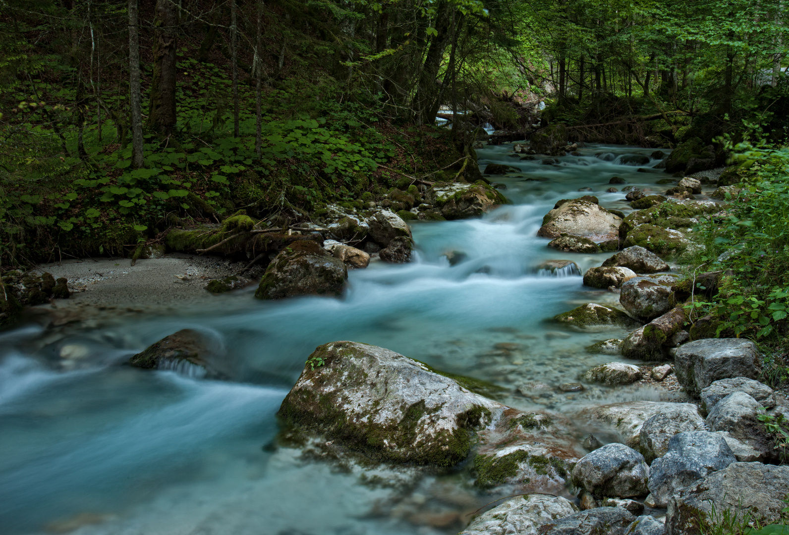 der Hammersbach