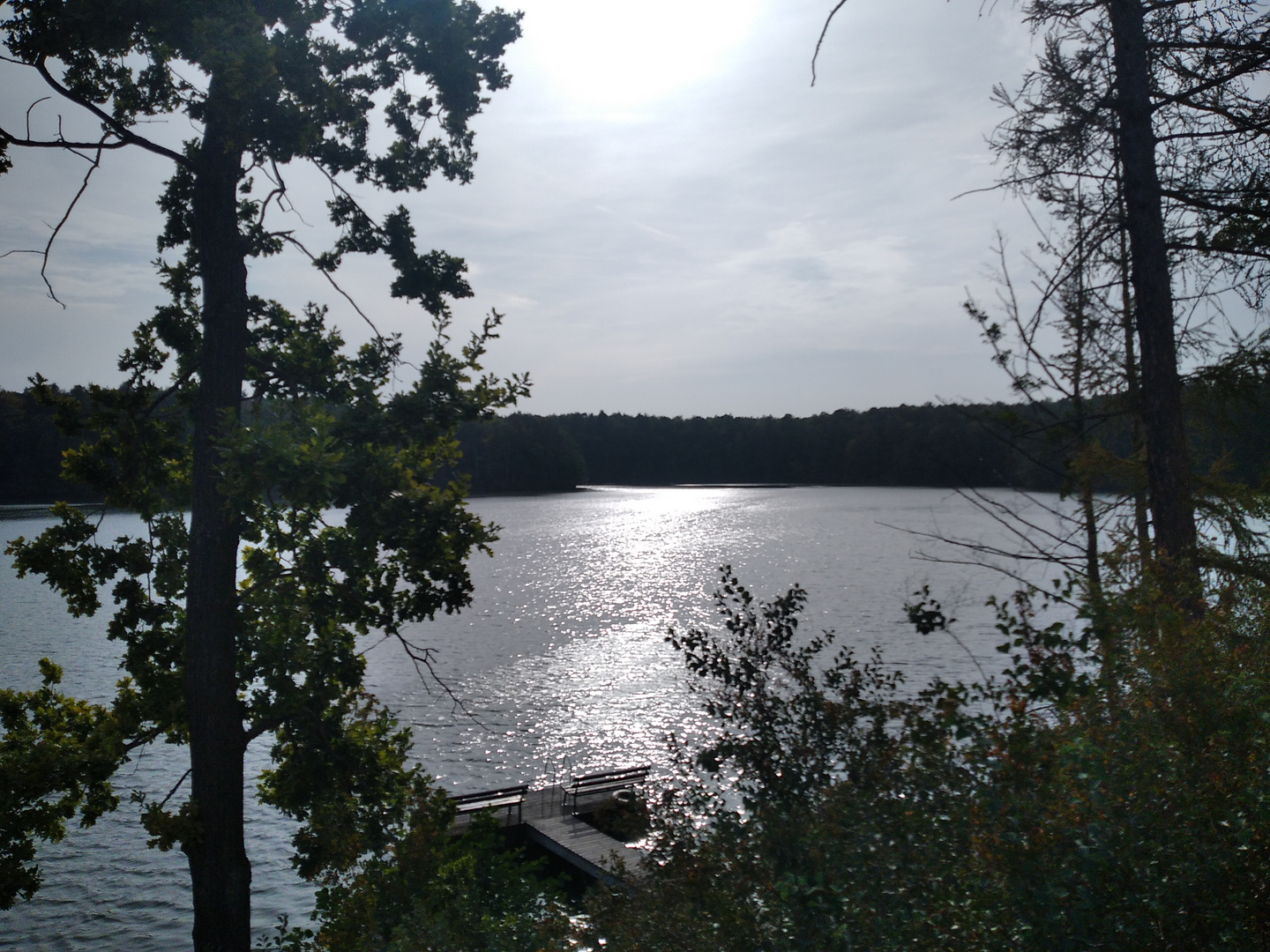 der Hammersee