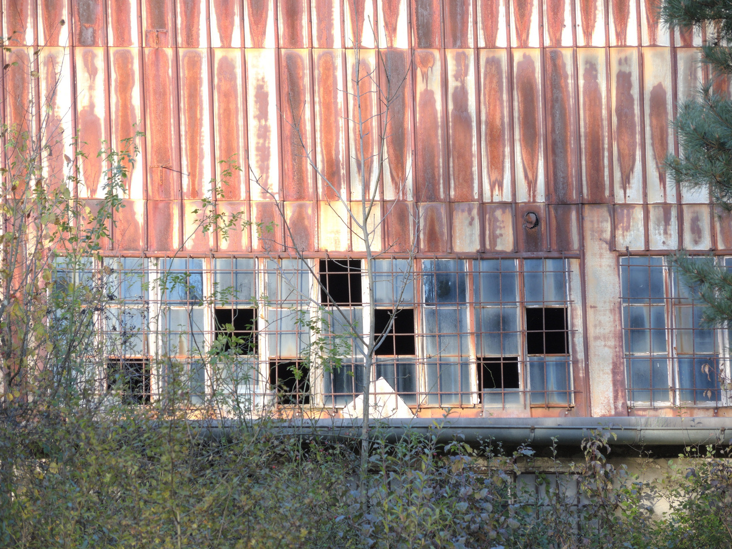 Der Hangar ist einsturzgefährdet.