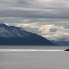 Der Hardangerfjord