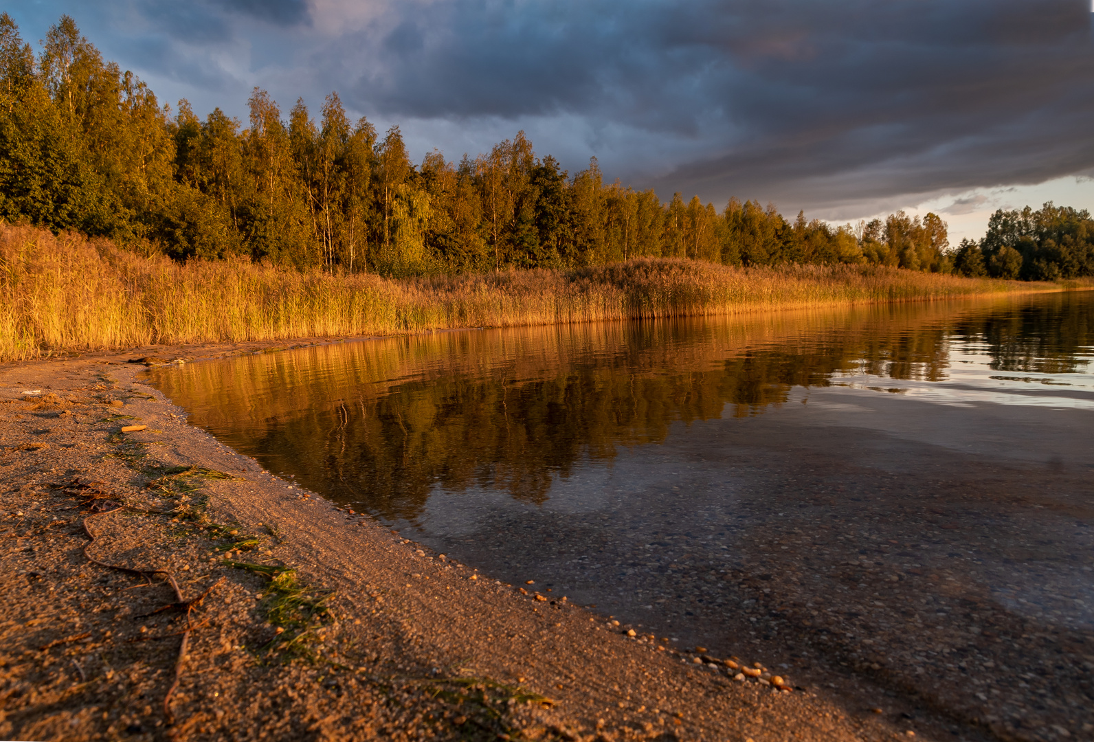 Der Harthsee