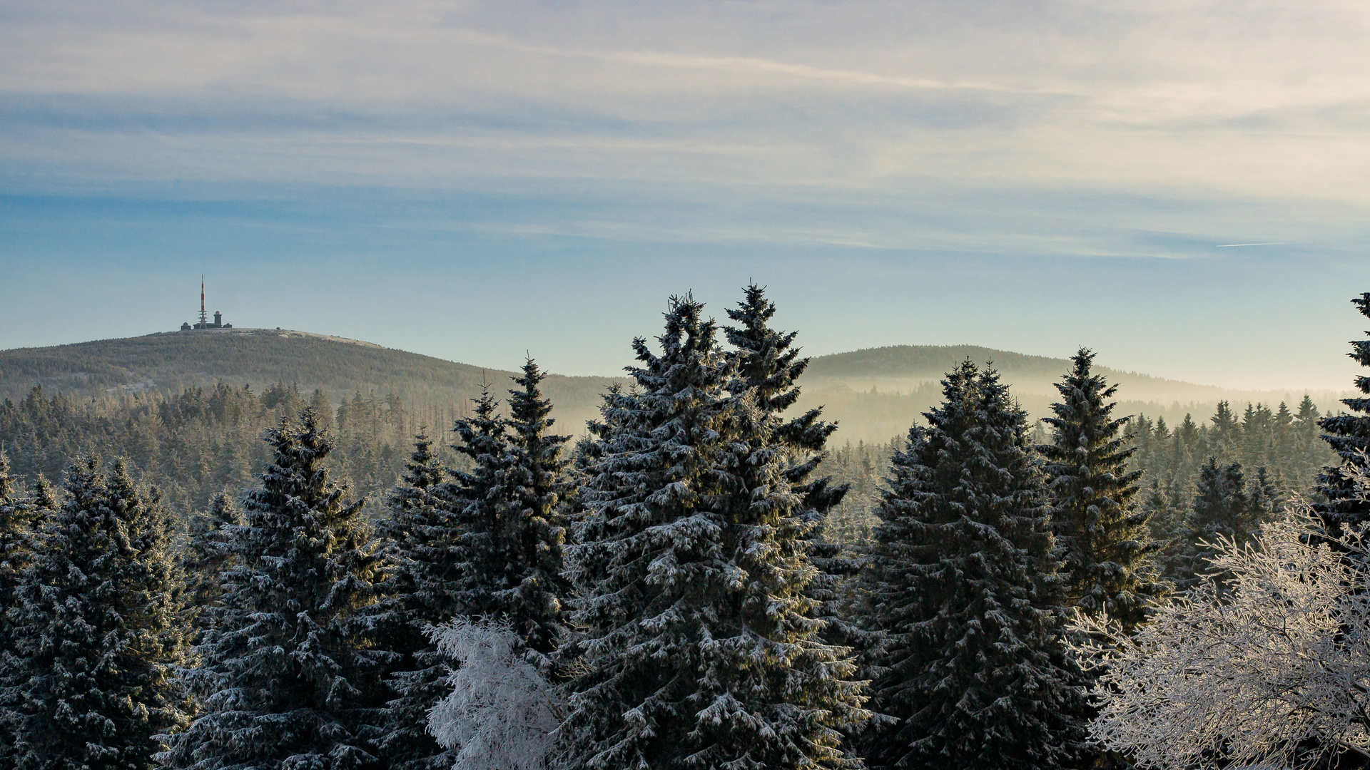 Der Harz