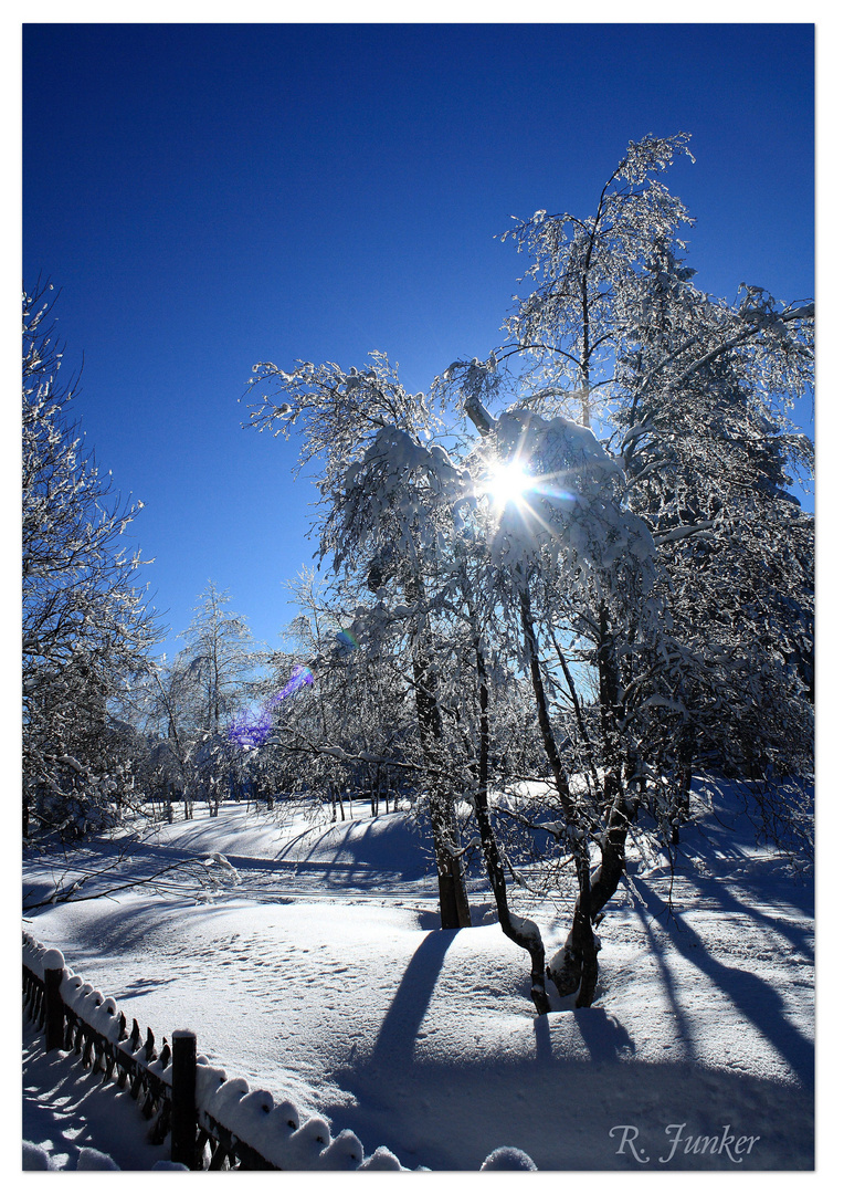 Der Harz 1