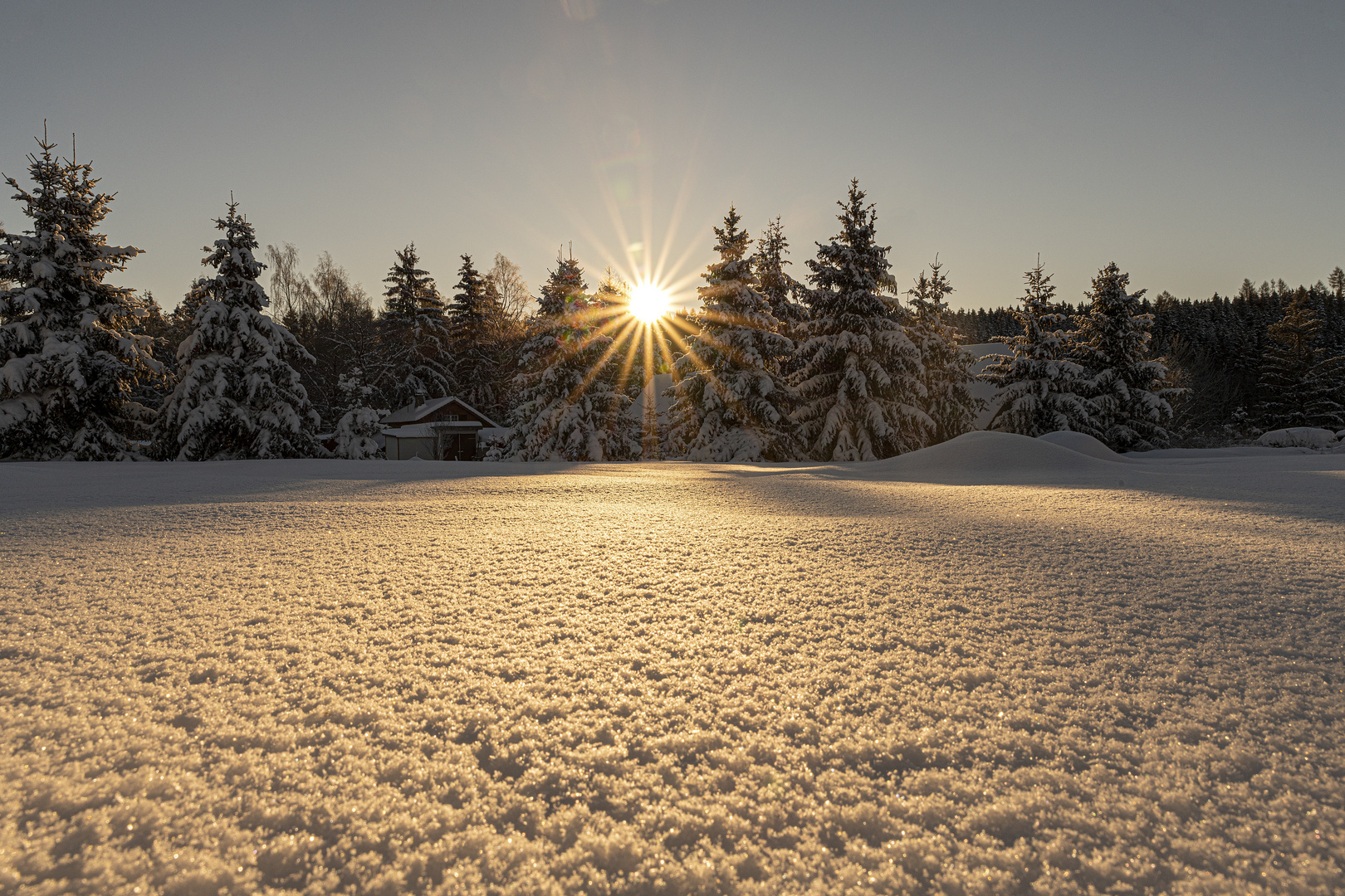 Der Harz