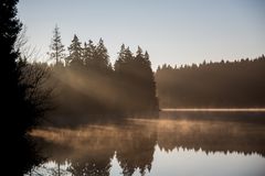 Der Harz am Morgen II