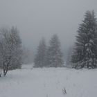 Der Harz bei Torfhaus 2