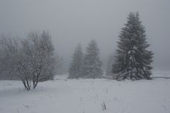 Der Harz bei Torfhaus 2