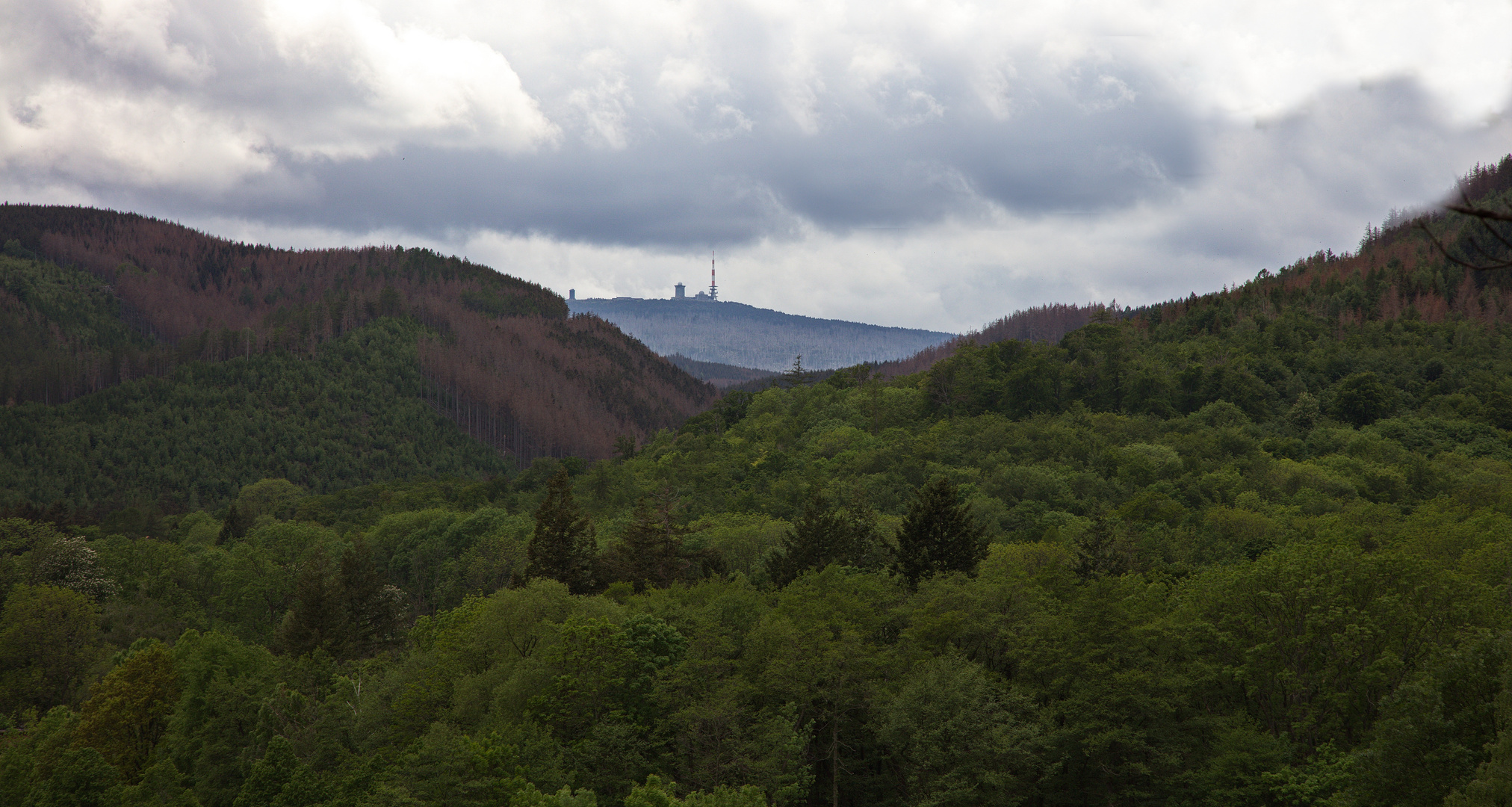 Der Harz - Brockenblick