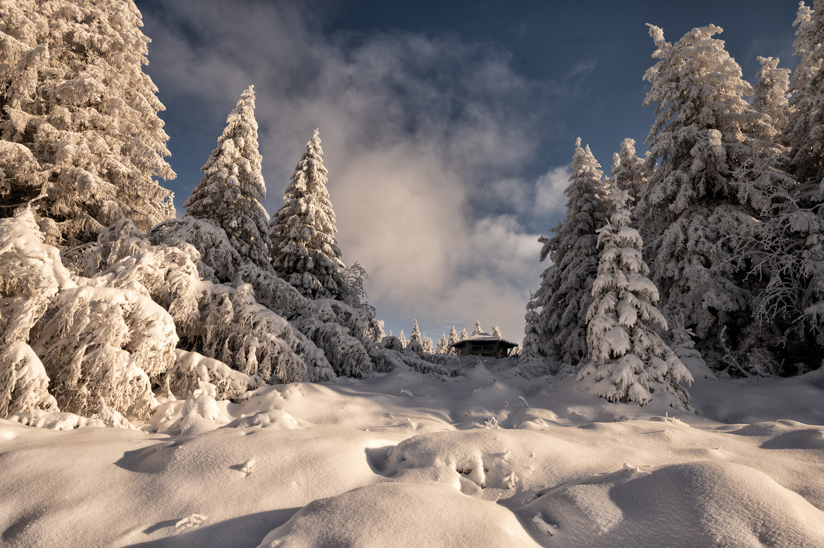 Der Harz - ein Wintermärchen