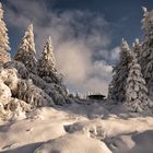 Der Harz - ein Wintermärchen