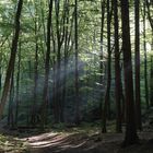 Der Harz im rechten Licht