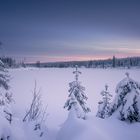 Der Harz im Winterschlaf 