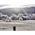 Der Harz vor "Daisy"