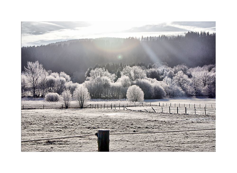 Der Harz vor "Daisy"