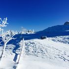 Der Harzer Brockengipfel im Winter