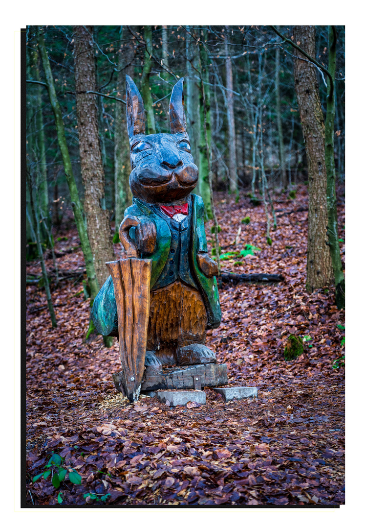 der Hase