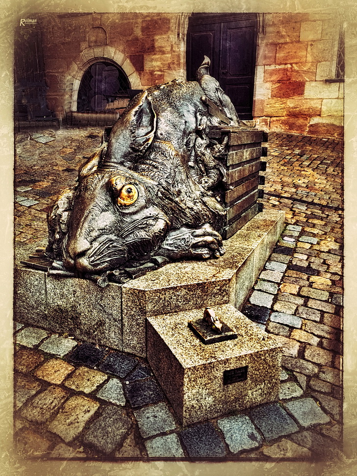 Der Hase (Albrecht Dürer)